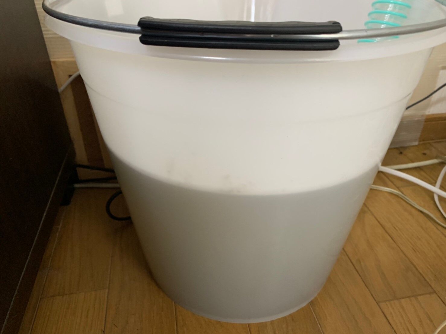 ホームページ用_190919_0178